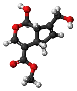 Ball-and-stick model of the genipin molecule