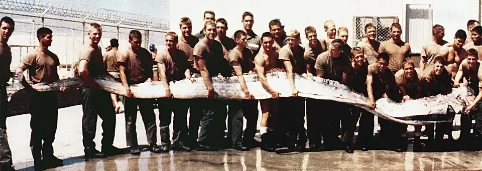 A 7&nbsp;m (23&nbsp;ft) king of herrings oarfish, washed up on the beach of a Navy SEAL training base in California
