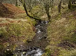 Routing Gill Beck on Great Mell Fell