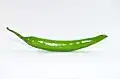 green chilli