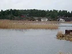 On the coast of Yngsjö