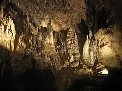 Caves of Han-sur-Lesse
