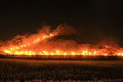 Sakitama Fire Festival