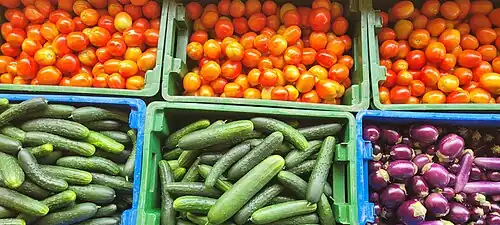 Harvested cucumber among other vegetables