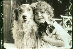 A black and white photograph of a Collie next to a young girl holding a bouquet of flowers.