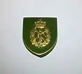 Home Guard 10 year badge