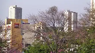 Cerrado vegetation with Hotel Ibis