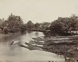 Log transport in the Dutch East Indies (now Indonesia) 1870