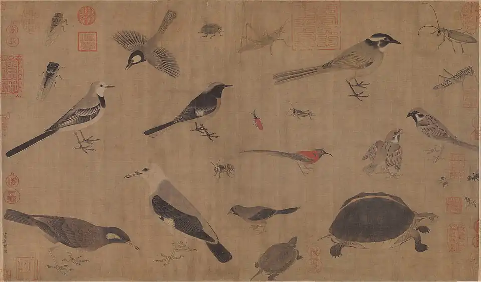 Image 2Description of rare animals (写生珍禽图), by Huang Quan (903–965) during the Song dynasty (from History of biology)