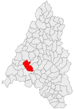 Location in Bihor County