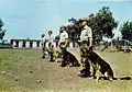 K9 Policemen circa 1970s