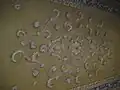 Stucco work on the ceiling of Maqbara