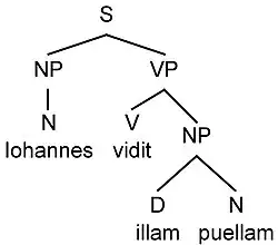 An educational diagram displaying the syntax of the Latin sentence Iohannes vidit illam puellam with nodes representing John, sees, and girl, aiding in understanding language structure.