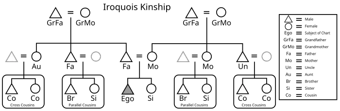 Graphic of the Iroquois kinship system