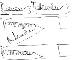 Illustrations of the claws of Jaekelopterus
