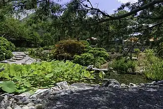 Japanese Garden