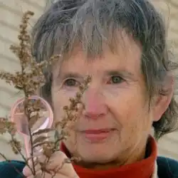 Markowsky, an older white woman with cropped gray hair, looking at a plant with a magnifying glass