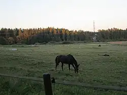 Malminkartano’s horse stable