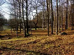Kaknäs Iron Age burial ground