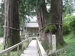 Great sugi of Kayano