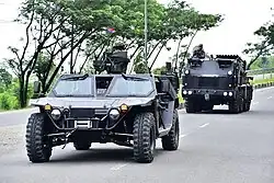 P6 ATAV of Indonesian marines.