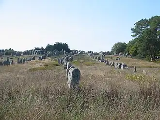 Standing stones in the Kermario alignment