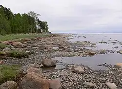 Gulf coast near Komarovo