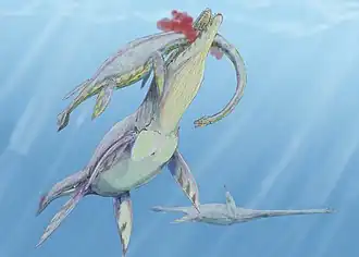 A scene from the early Cretaceous: a Woolungasaurus is attacked by a Kronosaurus.