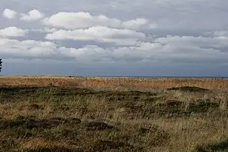 Coastal heath at Øer.