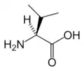 L-Valine (Val&nbsp;/&nbsp;V)