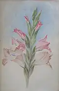Flower Study 4, by LVG, charcoal, Goriansky Family Collection