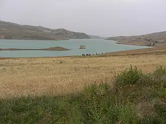A grassy area with a body of water in the background.