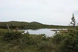 Lake on the plateau at the summit of Mount Albert