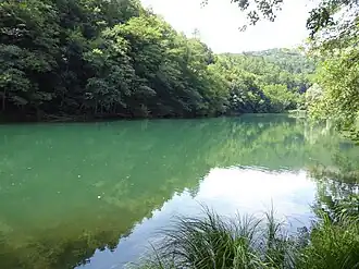 A body of water surrounded by greenery.