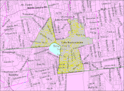 U.S. Census map