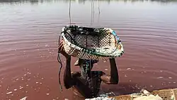 worker is digging the salt in the lake