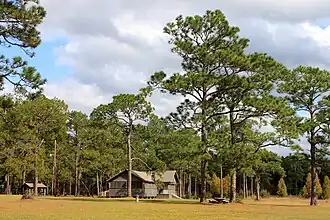 Trees in the Laura S. Walker State Park planted in 1937, under the Land Utilization Program
