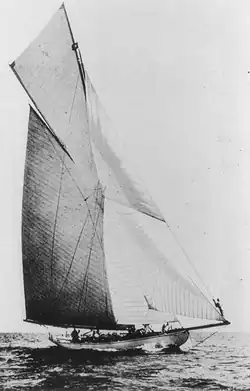 Laurea, 10 – 20 Ton