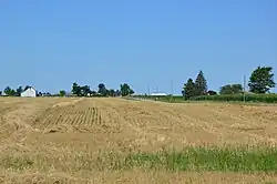 Stubble field just southwest of West Leipsic