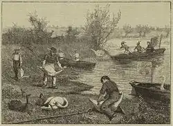 "Swan Upping on the Thames", from Henry Robert Robertson's Life on the Upper Thames, (1875)