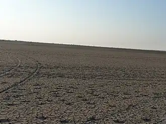 Landscape of Wild Ass Sanctuary.