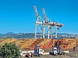 Photo of stacks of cut logs on wharf.