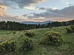 Looking towards the sunset in a meadow on the west side of Round Mountain in the Pecos Wilderness via the Jack's Creek Trail