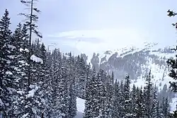 The view from Chair 1 at Loveland Ski Area.