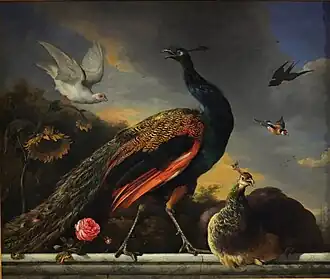 Peacocks, Male and Female (1681), oil on canvas, 1,30 x 1,30&nbsp;cm., Petit Palais, Musée des Beaux-Arts de la Ville de Paris