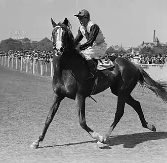 1945 winner – Magnificent