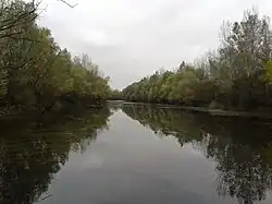 Little Danube, which forms Žitný Ostrov, along with the Danube and Váh rivers