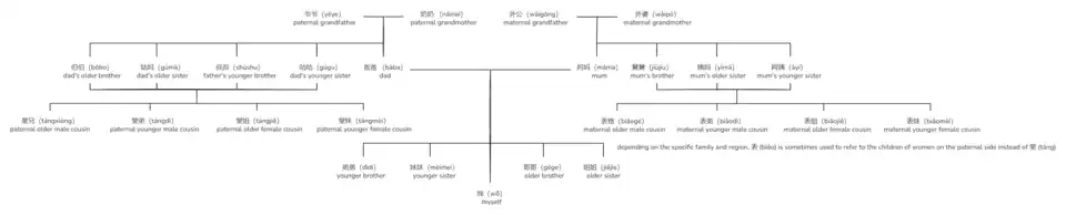 Mandarin Chinese family tree, non-extensive