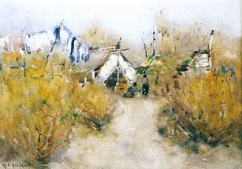 Maori camp near Rotorua