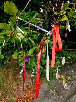 A close-up image of tree branches on which have been affixed a wide range of small, brightly coloured pieces of cloth